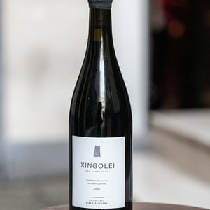 xingolei - Domaine Goienetxea - domaine-goienetxea -2021
