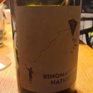 Xinomavro Nature - Thymiopoulos Vineyards - Apostolos Thymiopoulos 