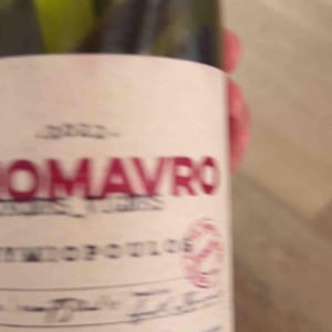 Xinomavro Young Vines - Thymiopoulos Vineyards - Apostolos Thymiopoulos 