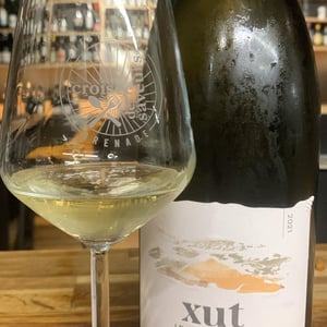 Xut Blanc - Domaine Etxondoa - olivier-pouchoulou -2021