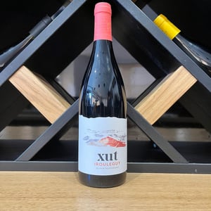 Xut Rouge - Domaine Etxondoa - olivier-pouchoulou -2020