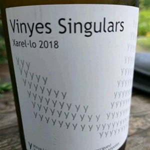 Y - Vinyes Singulars - Ignasi Segui -2021