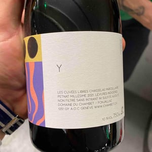 Y - Pet nat - Domaine du Chambet - Anthony Fonjallaz -2021