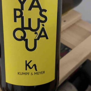 Y'a Plus Qu'À - Kumpf & Meyer - Julien Albertus 