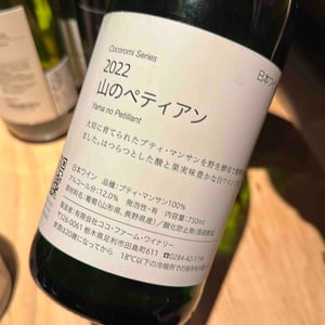 山のペティアン Yama no Petillant - Coco Farm & Winery - Romain Weinstock & Toyoichiro Shibata -2022