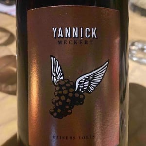 Baisers Volés - Yannick Meckert - Yannick Meckert 