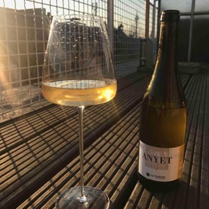 Celler La Gutina - Barbara Magugliani & Joan Carles Torres - Anyet