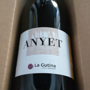 Anyet - Celler La Gutina - barbara-magugliani-joan-carles-torres