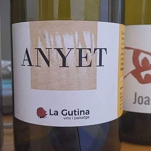 Anyet - Celler La Gutina - barbara-magugliani-joan-carles-torres