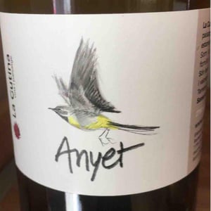 Anyet