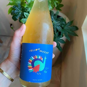 Yellow Muscat 2019
