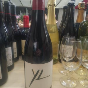 YL - Yves Leccia - yves-sandrine-leccia