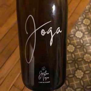 Joga - Justine Vigne - Justine Vigne 