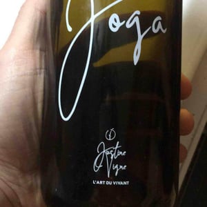 Joga - Justine Vigne - Justine Vigne 