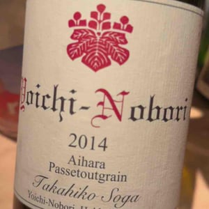 Yoichi-Nobori - Passetoutgrain - Domaine Takahiko - Takahiko Soga 