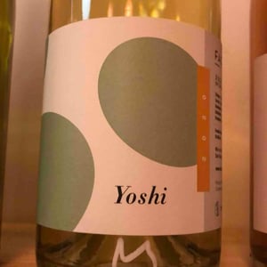 Yoshi - Face B - severin-barioz-mathilde-barioz-ceccon