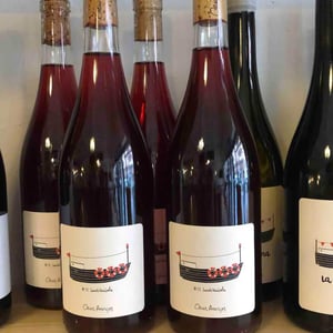 Sos #12 Succés Vinicola - Mas Pellisser - Oriol Artigas 