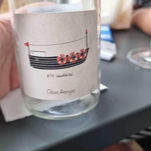 Sos #12 Succés Vinicola - Mas Pellisser - oriol-artigas