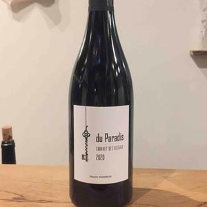 Du Paradis - Cabaret des Oiseaux - jude-lucile-spaety -2020