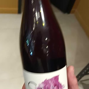 Sinua - Domaine Régnier-David - jean-francois-regnier -2021