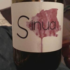 Sinua - Domaine Régnier-David - Jean-Francois Régnier -2021