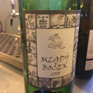 Mlady Bocek - Richard Stavek - Richard Stavek 