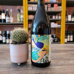 Young Vines - Martha Stoumen - martha-stoumen