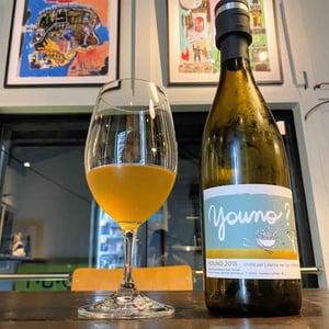 Youno - Sonser Vins (CLOSED) - Lisanne Van Son & Benjamin Serer 