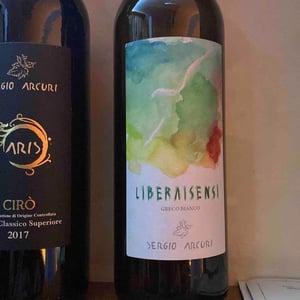 Liberaisensi - Sergio Arcuri - Sergio Arcuri 