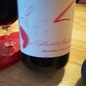 La Vrille et le Papillon - Géraldine & Méryl Croizier - Z Rouge