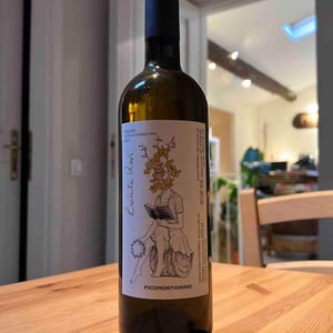 Zacinta Revi - Agricola Ficomontanino - Maria Sole Giannelli 