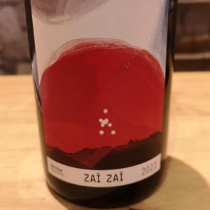 Zaï Zaï - Nicolas Ravaille - Nicolas Ravaille -2023