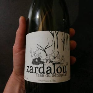 Zardalou - L’Eau du Nénuphar - alexandre-langlois