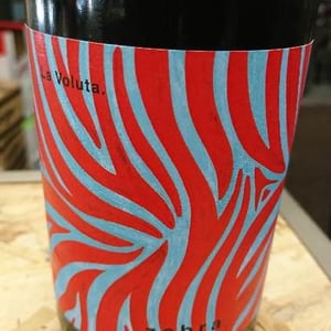 Zebra 2017 - La Voluta - anna-rubio-jean-benoit-vivequain
