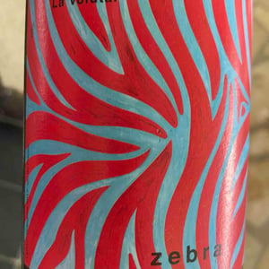 Zebra 2017 - La Voluta - Anna Rubio & Jean-Benoît Vivequain 