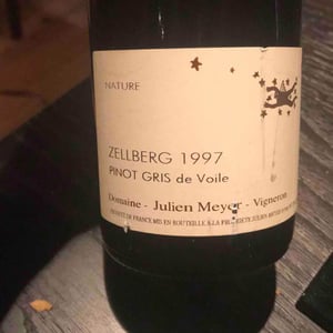 Zellberg - Pinot Gris de voile - Domaine Julien Meyer - patrick-meyer