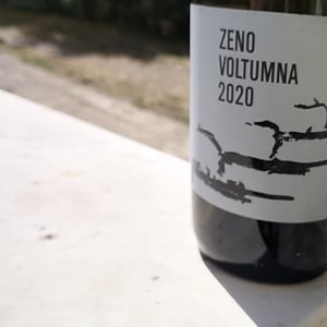 ZENO - Voltumna - marzio-politi