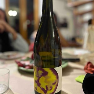 Zéphirine - Domaine des Ourobores - nicolas-julian-hilbold -2023