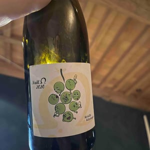 Null Ohm Weiß - Weingut Kissinger - Moritz Kissinger -2021