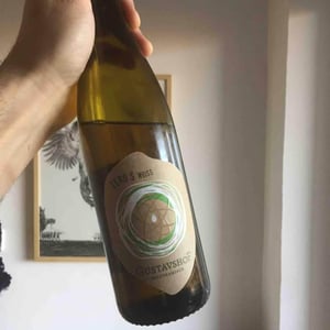 Zero S Weiss - Rheinhessen, Germany - Andreas Roll 
