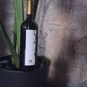 Zibibbo - Vini Barraco - Antonino Barraco 