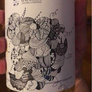 Zibibbo - Azienda Agricola Gaudioso - Antonio & Rosa Gaudioso 