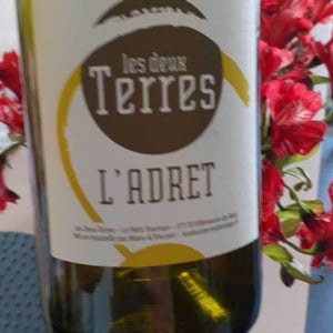 Zig-Zag - Les Deux Terres - vincent-fargier-emmanuel-cunin