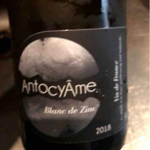 AntocyÂme - Muriel Zoldan - Blanc de Zinc