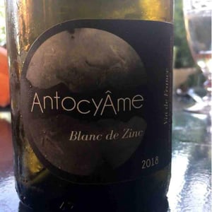 AntocyÂme - Muriel Zoldan - Blanc de Zinc