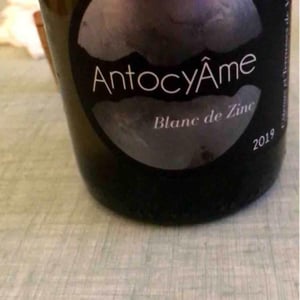Blanc de Zinc - AntocyÂme - Muriel Zoldan 