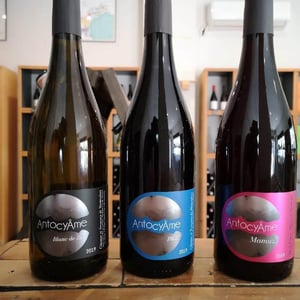 AntocyÂme - Muriel Zoldan - Blanc de Zinc