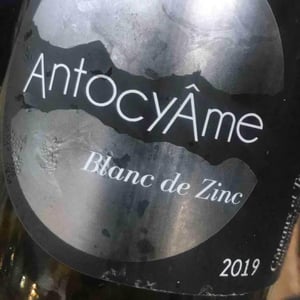 Blanc de Zinc - AntocyÂme - Muriel Zoldan 