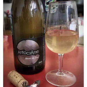 Blanc de Zinc - AntocyÂme - Muriel Zoldan 