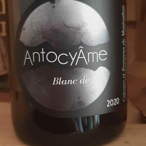 Blanc de Zinc - AntocyÂme - muriel-zoldan